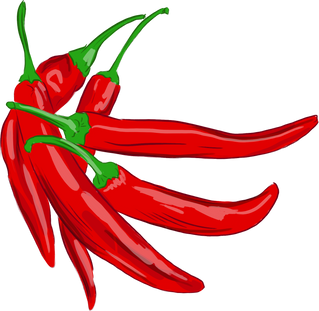 Red Hot Chili Spice Ingredient